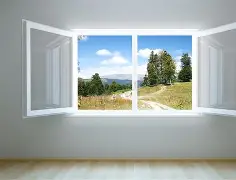 窗口期法兰克福备战社区盾，伤情更新细节曝光，质疑声仍在，身体对抗强度拉满(法兰克福媒体)