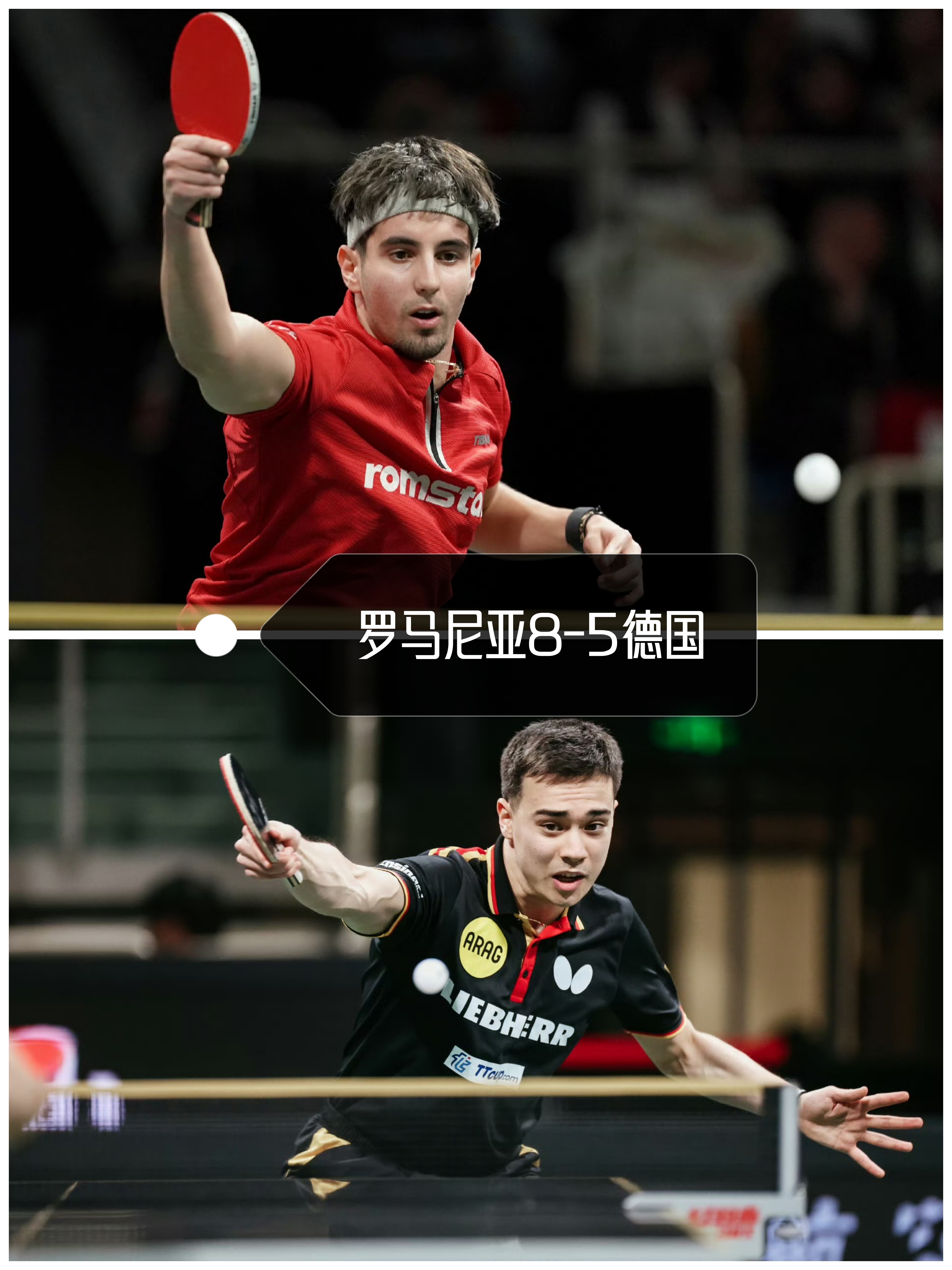 今晨萨克拉门托国王备战德国杯，绝杀压哨细节曝光，底气十足，团队化学反应显著(美国加州首府萨克拉门托)